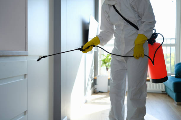 Best Certified Mold Removal  in Pioneer, OH